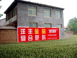 盈江如何让墙体广告展现最大化效果